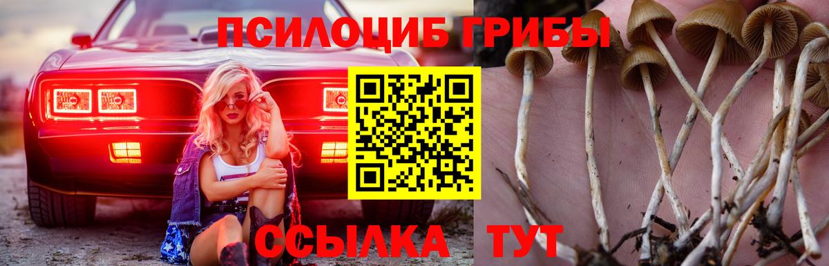 Псилоцибиновые грибы MAGIC MUSHROOMS  Вход с VPN  Отрадное 